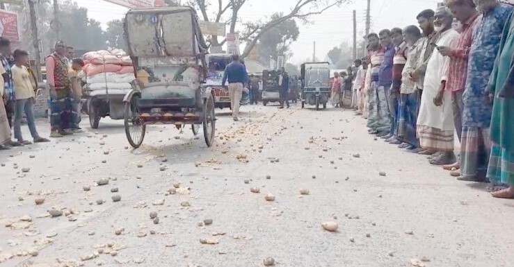 লালমনিরহাটে সড়কে আলু ফেলে কৃষকদের বিক্ষোভ