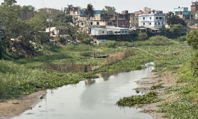 ঢোল ভাঙা নদী: বাঞ্ছারামপুরের হারিয়ে যাওয়া স্বপ্ন